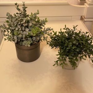 Two faux plants